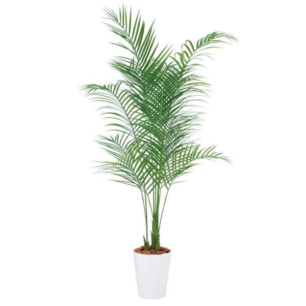�A���J���V PE W80×H180cm 99156 �A�[�e�B�t�B�V�����O���[�� �l�H�ϗt�A�� ���t���O���[��