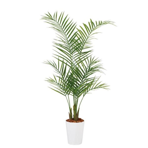 �A���J���V PE W60×H130cm 99159 �A�[�e�B�t�B�V�����O���[�� �l�H�ϗt�A�� ���t���O���[��