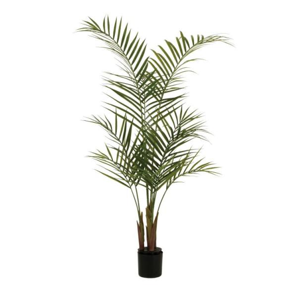 AJV PE W60×H120cm 99161 A[eBtBVO[ lHϗtA O[