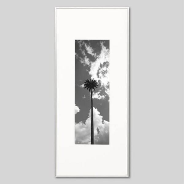 IGREBOW j[JhjA Ohe[ XƋɓ˂oV̖ ACO{E CeAtHg A~t[ LTCY mN[