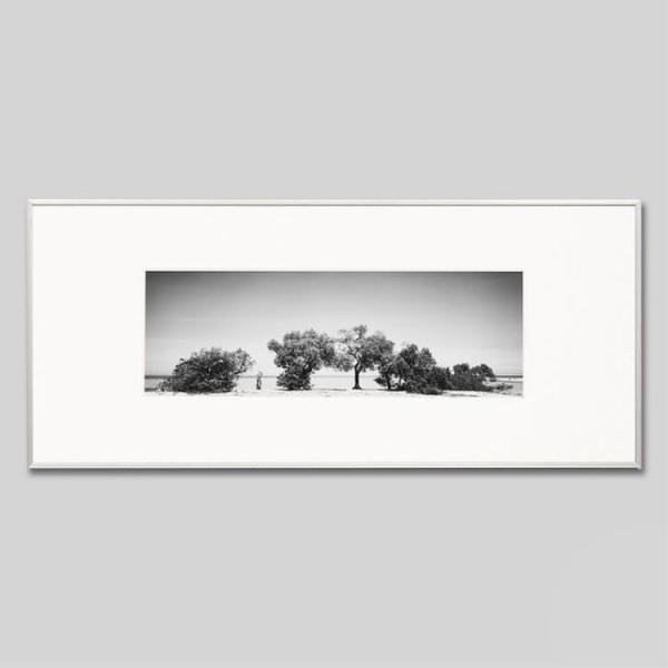 IGREBOW j[JhjA r[`ɐ ACO{E CeAtHg A~t[ LTCY mN[