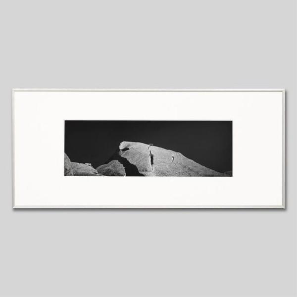 IGREBOW I[XgA E ̊ڂ琶 ACO{E CeAtHg A~t[ LTCY mN[