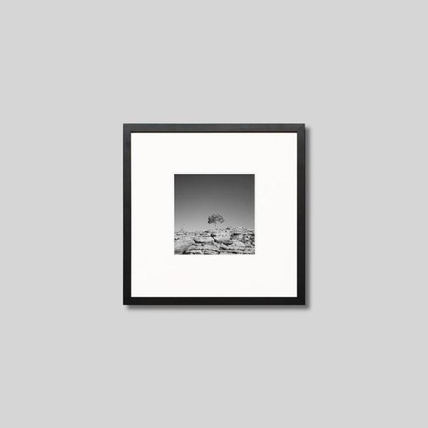 IGREBOW I[XgA LOXLjI R1{̖ ACO{E CeAtHg Ebht[ STCY mN[