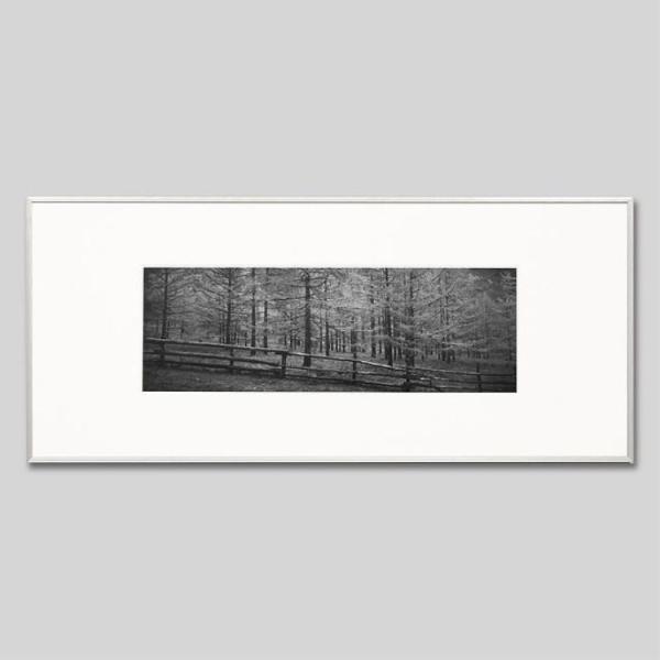 IGREBOW S eW gt̐X ACO{E CeAtHg A~t[ LTCY mN[