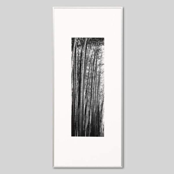 IGREBOW s ̒| ACO{E CeAtHg A~t[ LTCY mN[