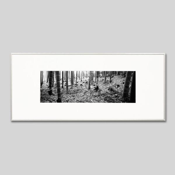 IGREBOW s ̒| ACO{E CeAtHg A~t[ LTCY mN[