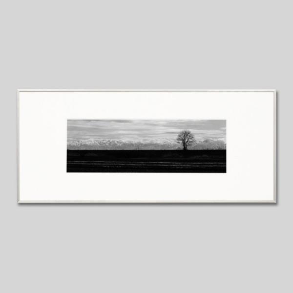 IGREBOW ΐ쌧 \o h̖؂ƗRA ACO{E CeAtHg A~t[ LTCY mN[