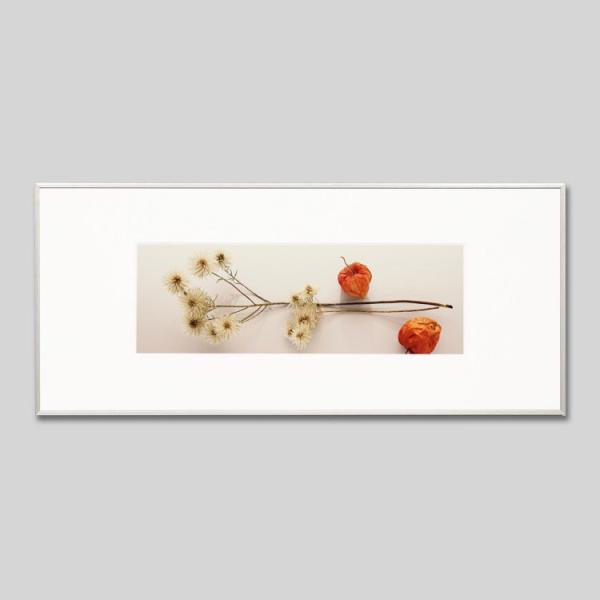 IGREBOW hCt[Ƃق ACO{E CeAtHg A~t[ LTCY J[ʐ^