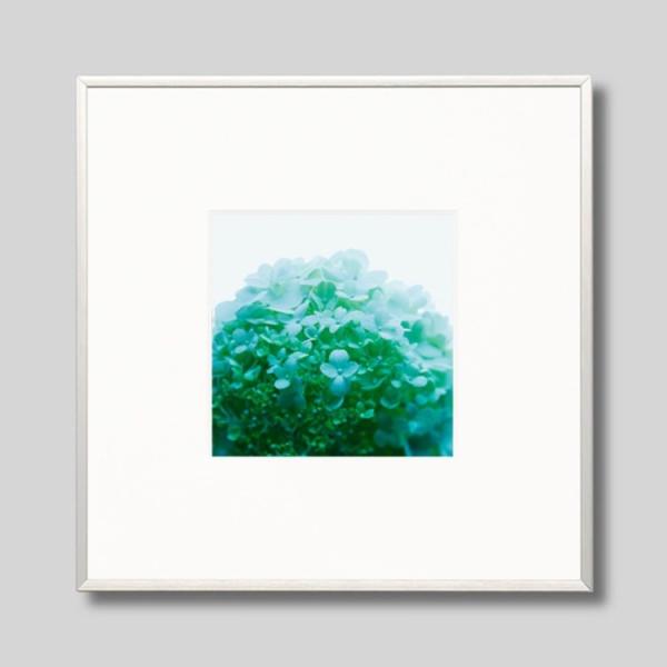 IGREBOW ɗh炮AWTC ACO{E CeAtHg A~t[ STCY J[ʐ^