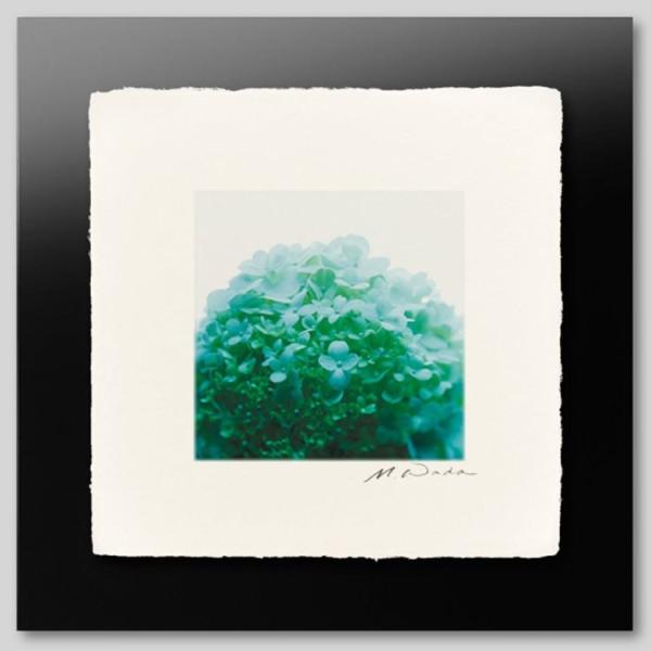 IGREBOW ɗh炮AWTC ACO{E CeAtHg zOht[ STCY J[ʐ^