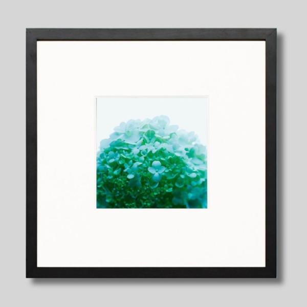 IGREBOW ɗh炮AWTC ACO{E CeAtHg Ebht[ STCY J[ʐ^