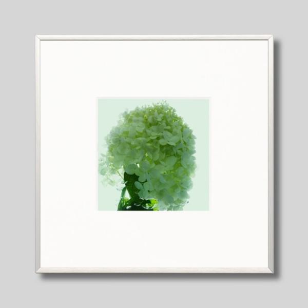 IGREBOW ɗh炮AWTC ACO{E CeAtHg A~t[ STCY J[ʐ^