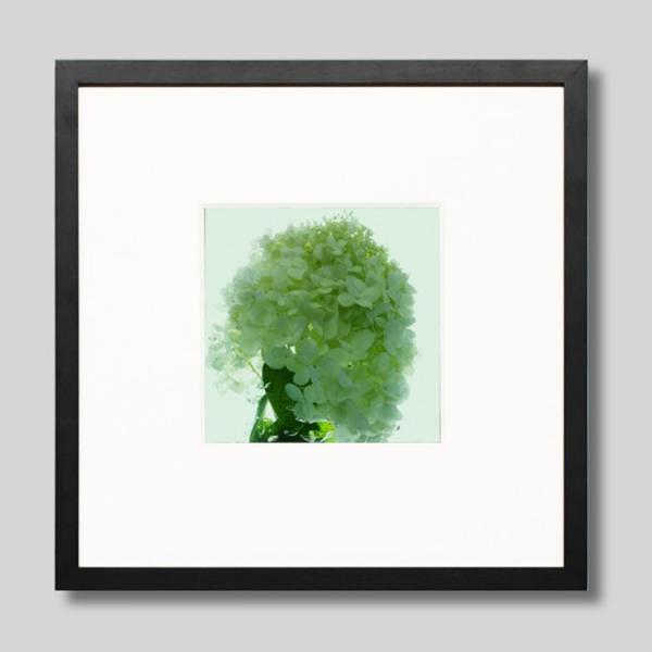 IGREBOW ɗh炮AWTC ACO{E CeAtHg zOht[ STCY J[ʐ^