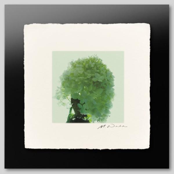 IGREBOW ɗh炮AWTC ACO{E CeAtHg Ebht[ STCY J[ʐ^