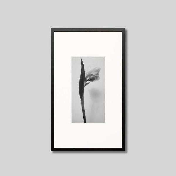 IGREBOW `[bv̉ ACO{E CeAtHg Ebht[ MTCY mN[