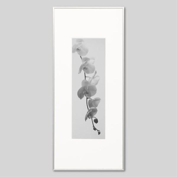 IGREBOW ̉ ACO{E CeAtHg A~t[ LTCY mN[