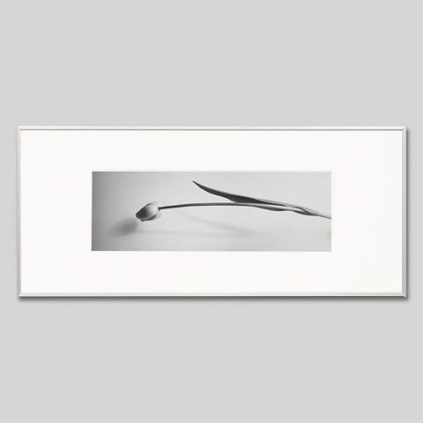 IGREBOW `[bv̉ ACO{E CeAtHg A~t[ LTCY mN[