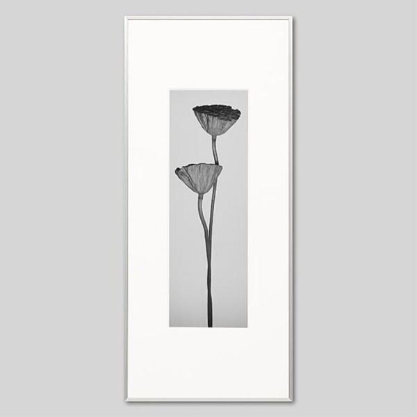 IGREBOW nX̎ ACO{E CeAtHg A~t[ LTCY mN[