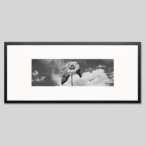 IGREBOW Ђ܂̉ ACO{E CeAtHg Ebht[ LTCY mN[