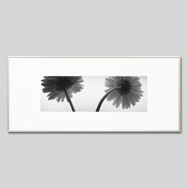 IGREBOW K[x̉ ACO{E CeAtHg A~t[ LTCY mN[