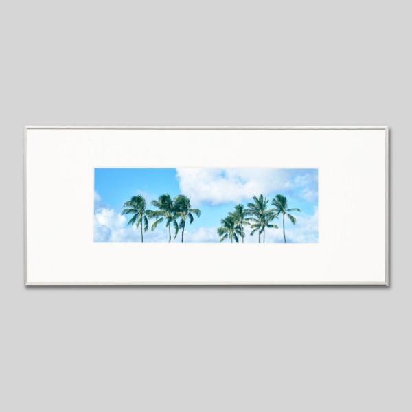 IGREBOW nC ɃV̖ ACO{E CeAtHg A~t[ LTCY J[ʐ^