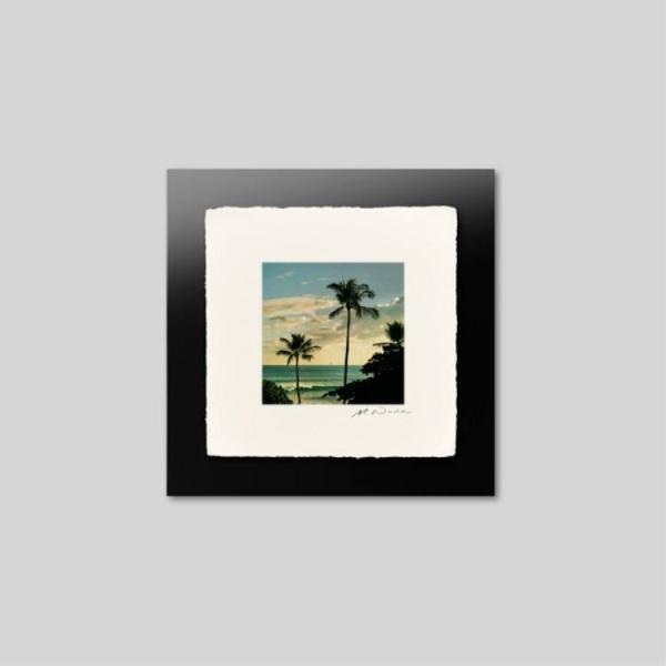 IGREBOW nC V̖؂ƊCƋ ACO{E CeAtHg zOht[ STCY J[ʐ^