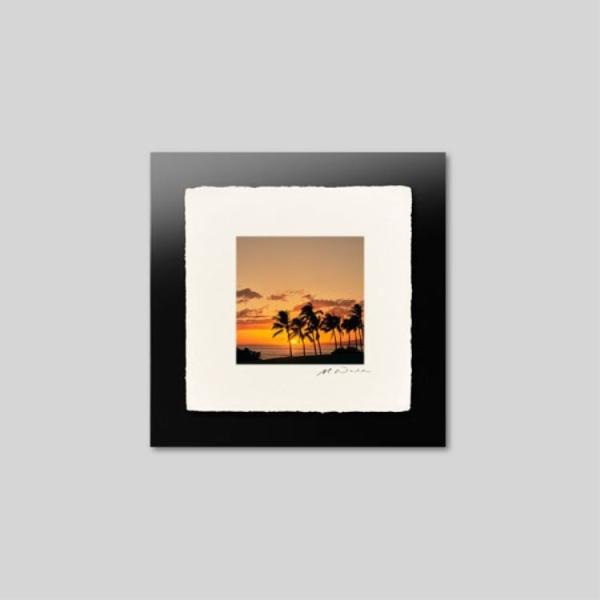 IGREBOW nC [ɐ܂CƃV̖ ACO{E CeAtHg zOht[ STCY J[ʐ^