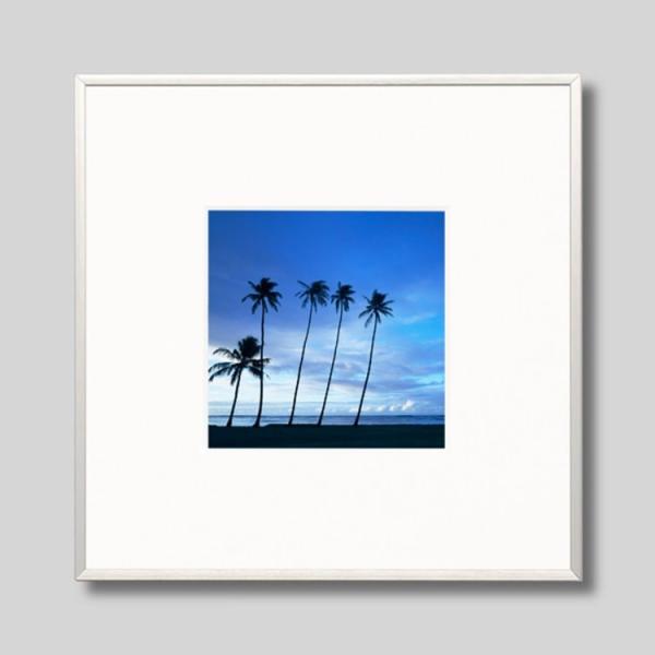 IGREBOW nC 閾̃JCNCr[`̃V̖ ACO{E CeAtHg A~t[ STCY J[ʐ^