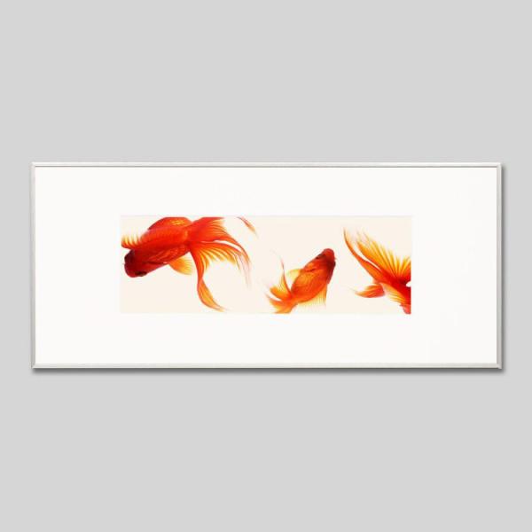 IGREBOW  ACO{E CeAtHg A~t[ LTCY J[ʐ^