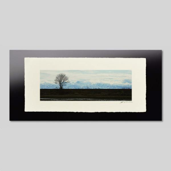 IGREBOW ΐ쌧\o h̖؂ƗRA ACO{E CeAtHg zOht[ LTCY J[ʐ^