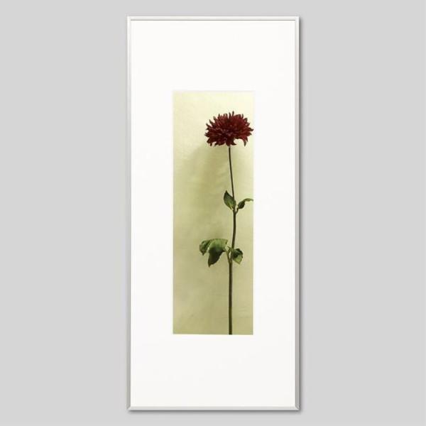 IGREBOW _Ả ACO{E CeAtHg A~t[ LTCY J[ʐ^