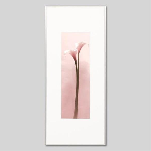 IGREBOW J[̉ ACO{E CeAtHg A~t[ LTCY J[ʐ^