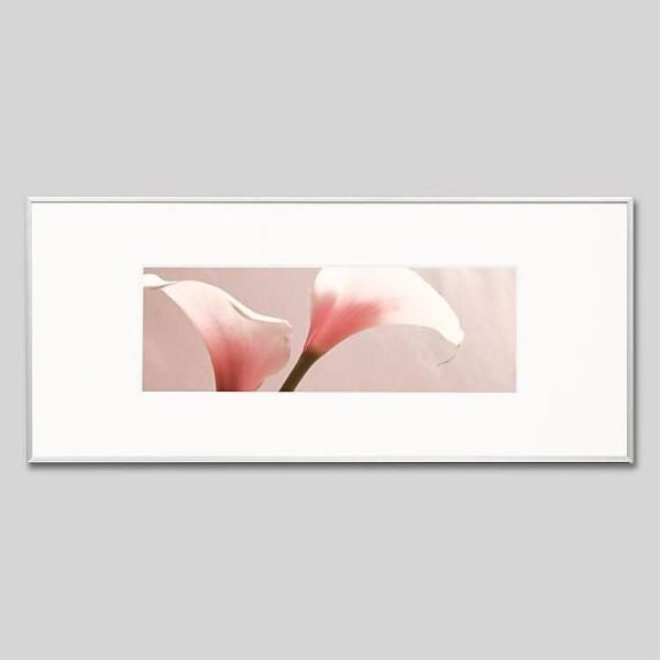 IGREBOW J[̉ ACO{E CeAtHg A~t[ LTCY J[ʐ^