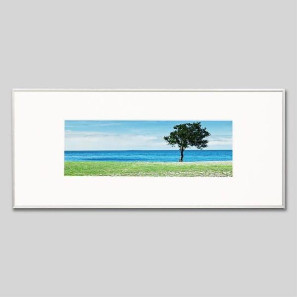 IGREBOW j[JhjA Cӂɐ ACO{E CeAtHg A~t[ LTCY J[ʐ^