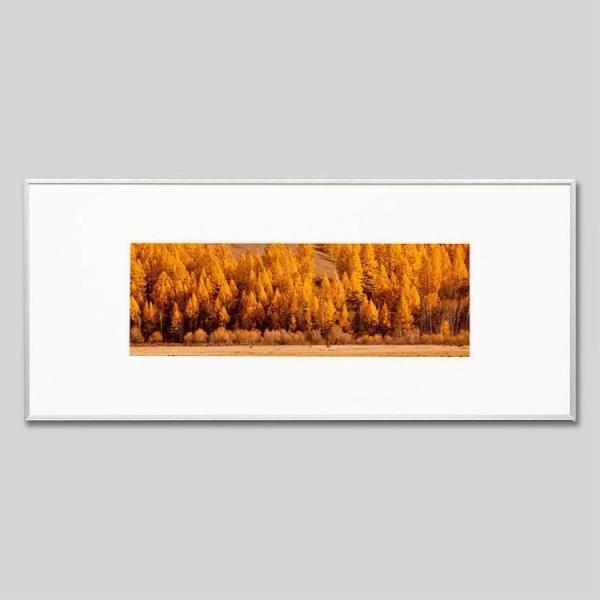 IGREBOW S eW gt̐X ACO{E CeAtHg A~t[ LTCY J[ʐ^