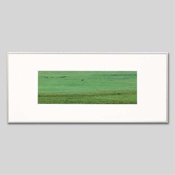 IGREBOW S eW nɏċ삯q ACO{E CeAtHg A~t[ LTCY J[ʐ^