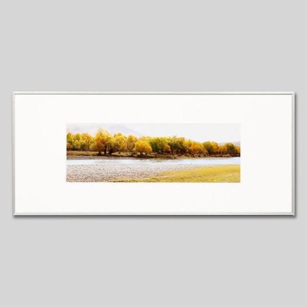 IGREBOW S eW̐ ACO{E CeAtHg A~t[ LTCY J[ʐ^