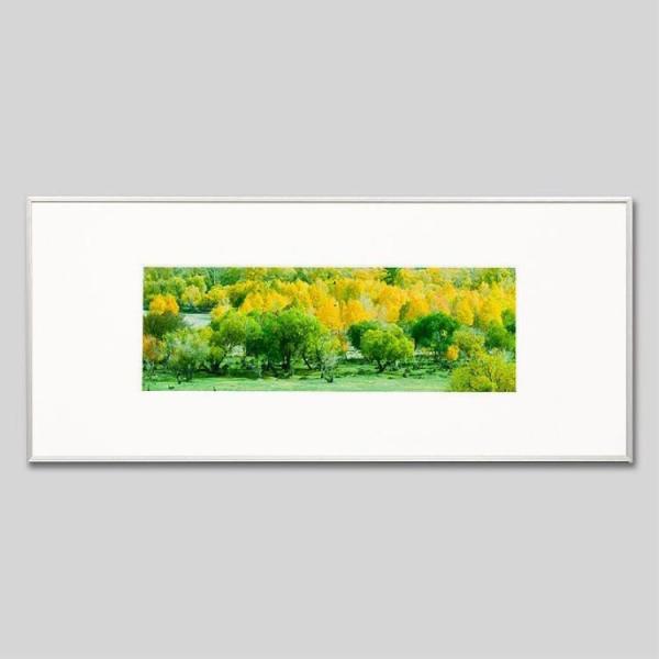 IGREBOW S eW gtƗ΂X ACO{E CeAtHg A~t[ LTCY J[ʐ^