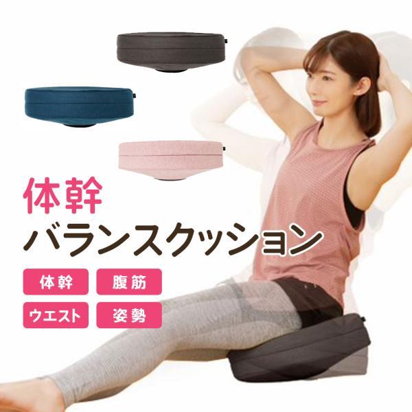 NEEDS LABO ニーズラボ 健康器具 ダイエットクッション 体幹ゆらゆら 