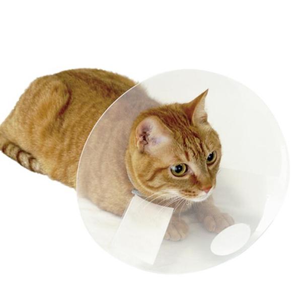 AnimalNecker アニマルネッカー すぐテープ Cat (5枚セット)