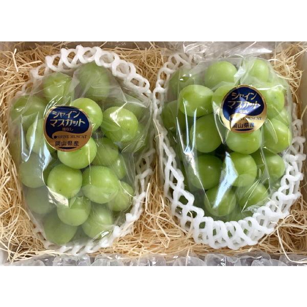 [Sꗥ]@RYVC}XJbg@1kg@(2[Ex18xȏ)