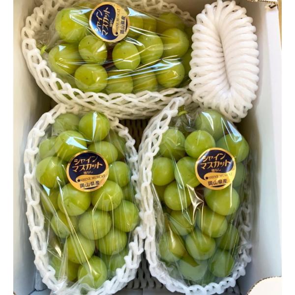 [Sꗥ]@RYVC}XJbg@2kg@(3`4[Ex18xȏ)