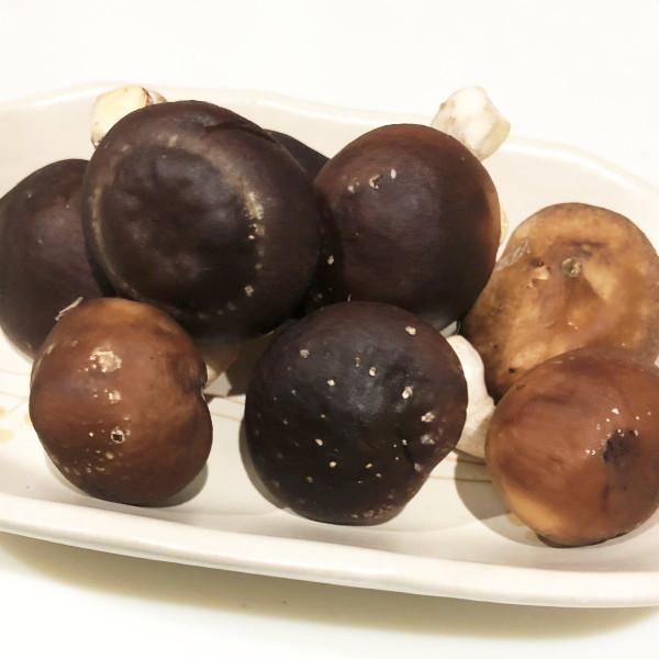 【生しいたけ、ナマシイタケ、菌床しいたけ、菌床シイタケ、生シイタケ】