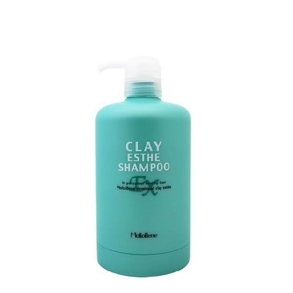 Moltobenegx[l NCGXe Vv[ EX pe 500ml [g͕ʔł]