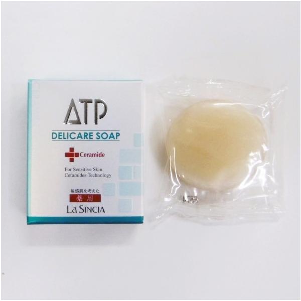 VVAp ATPfPA\[v 100g@(򕔊Oi)