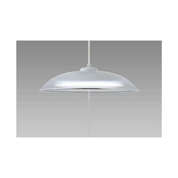�z�^���N�X HCDD1253-X LED�y���_���g���C�g(�`12��) �����F