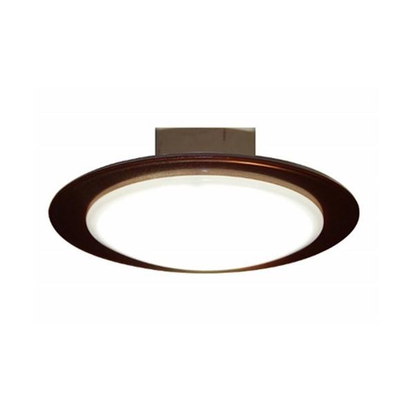 スワン CE-1004BR LED小型シーリング 昼白色