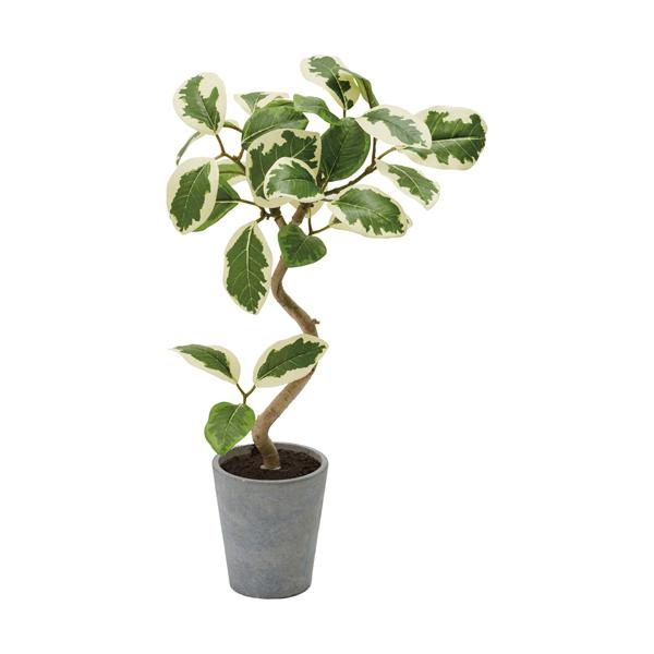 ポピー GLA-1524 W／G フィカスアルテシマポット 全長44cm 鉢:φ9.3cm×H10.2cm ホワイトグリーン GLA1524 W／G 449