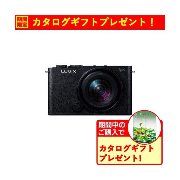 期間限定ギフトプレゼント】パナソニック DC-S9N-K S9 広角ズーム