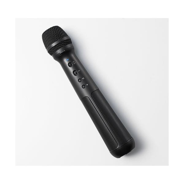 キングジム SPMC10 スピ−カ−付きマイク  24